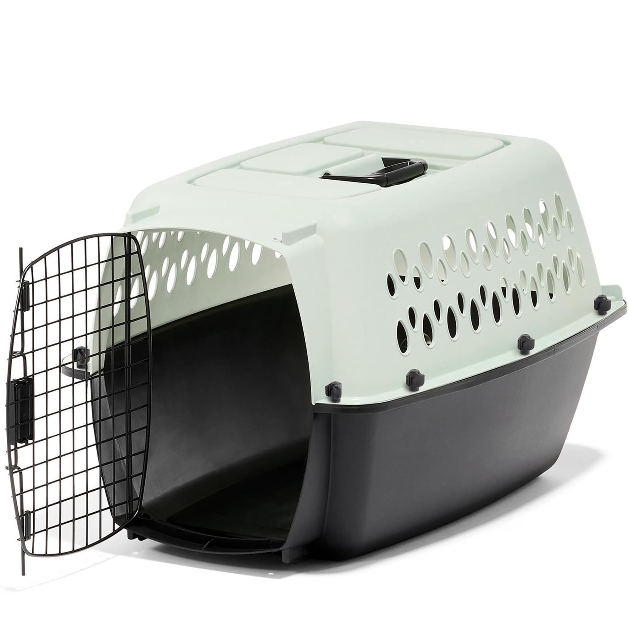Amazon.com : Petmate Pet Porter Fashion Dog Kennel Plastic Crate